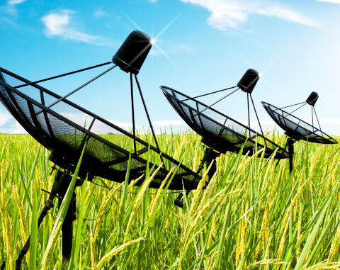 Three satellite dish antennas in field