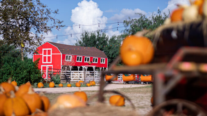 Farmhouse_AdobeStock_294262913_678x451