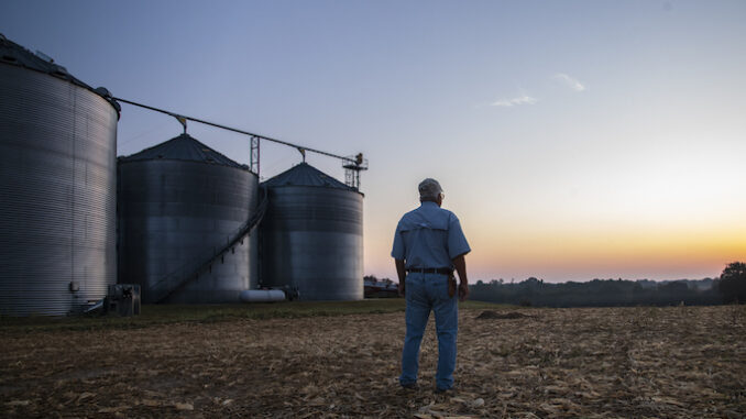 Farmer-685