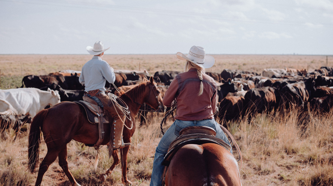 cowboy_678x381